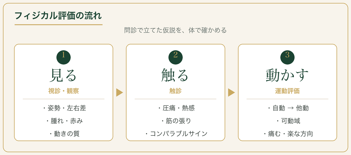フィジカル評価の流れ：見る（視診・観察）→触る（触診）→動かす（運動評価）の3ステップ