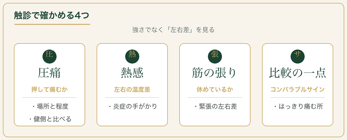 触診で確かめる4つ：圧痛・熱感・筋の張り・コンパラブルサイン