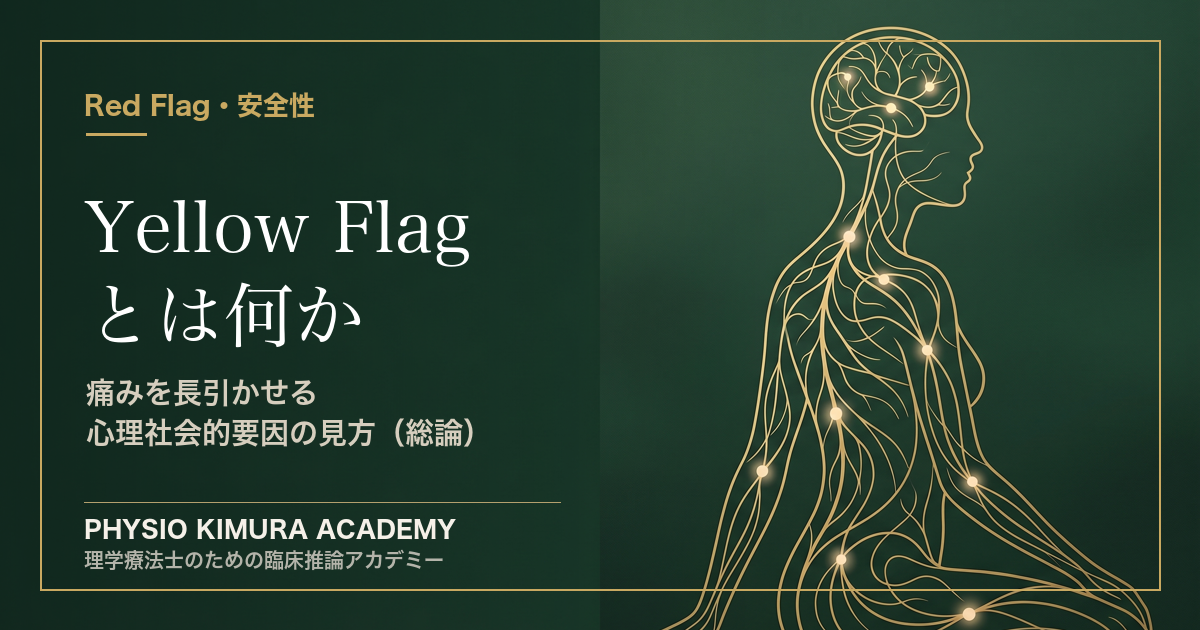 Yellow Flag とは何か — 痛みを長引かせる心理社会的要因の見方